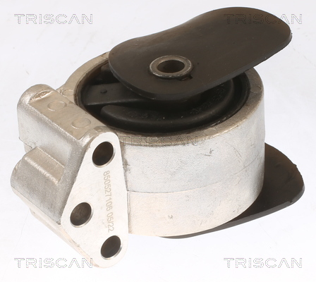 TRISCAN 8505 27106 Lagerung, Motor