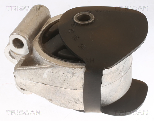 TRISCAN 8505 27106 Lagerung, Motor