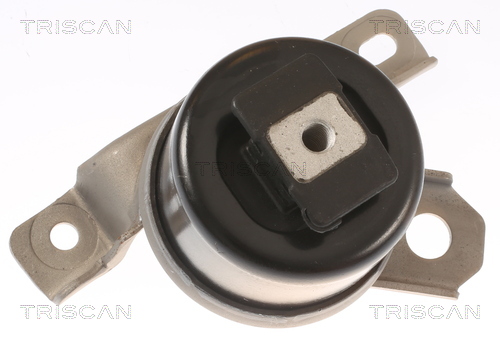 TRISCAN 8505 27107 Lagerung, Motor