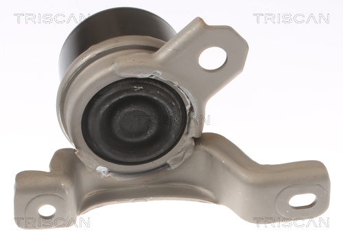 TRISCAN 8505 27107 Lagerung, Motor