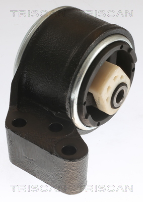 TRISCAN 8505 27108 Lagerung, Motor