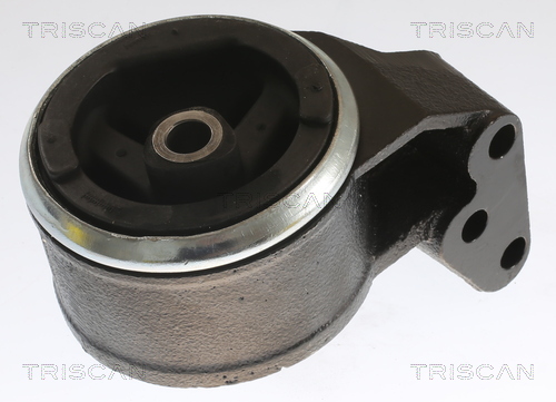 TRISCAN 8505 27108 Lagerung, Motor