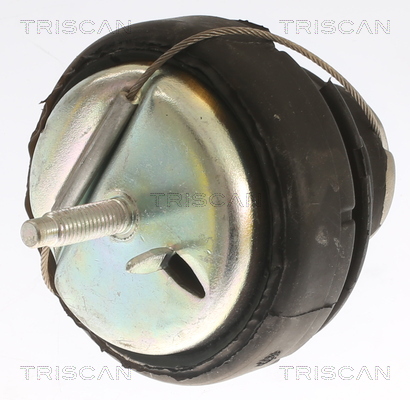 TRISCAN 8505 27109 Lagerung, Motor