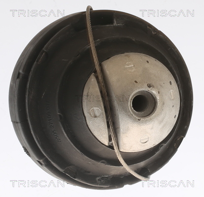 TRISCAN 8505 27109 Lagerung, Motor