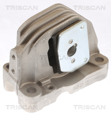 TRISCAN 8505 27110 Lagerung, Motor