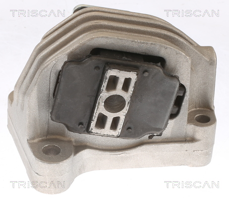 TRISCAN 8505 27110 Lagerung, Motor