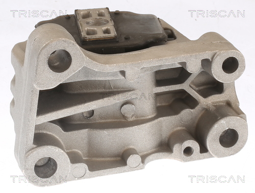 TRISCAN 8505 27110 Lagerung, Motor