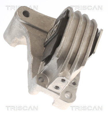 TRISCAN 8505 27111 Lagerung, Motor