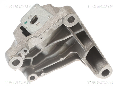 TRISCAN 8505 27111 Lagerung, Motor