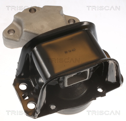 TRISCAN 8505 28100 Lagerung, Motor