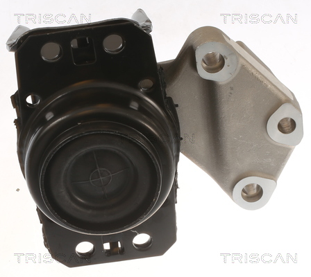 TRISCAN 8505 28100 Lagerung, Motor