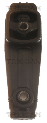 TRISCAN 8505 28101 Lagerung, Motor