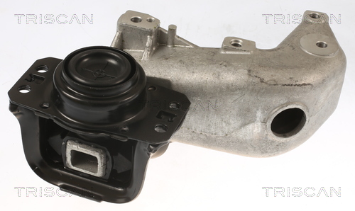 TRISCAN 8505 28103 Lagerung, Motor