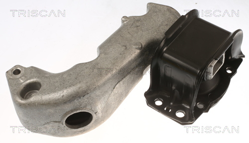 TRISCAN 8505 28103 Lagerung, Motor