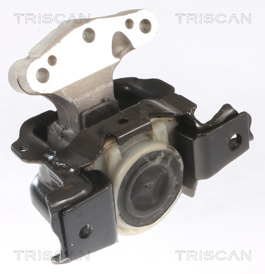 TRISCAN 8505 28104 Lagerung, Motor