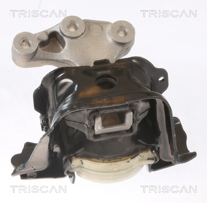 TRISCAN 8505 28104 Lagerung, Motor
