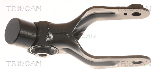 TRISCAN 8505 28105 Lagerung, Motor