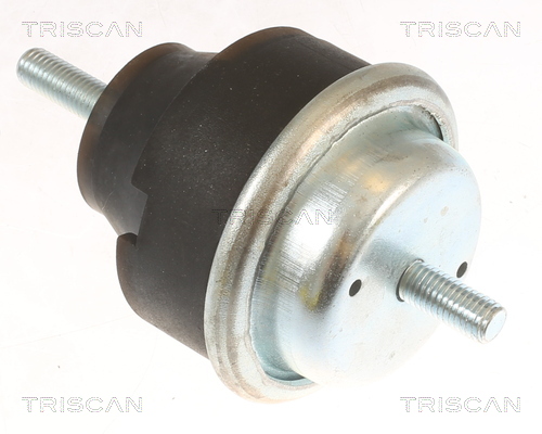 TRISCAN 8505 28106 Lagerung, Motor