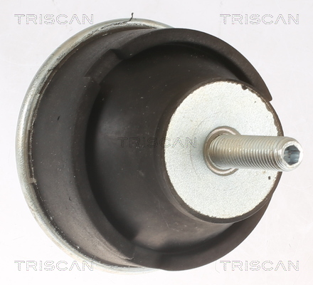 TRISCAN 8505 28106 Lagerung, Motor