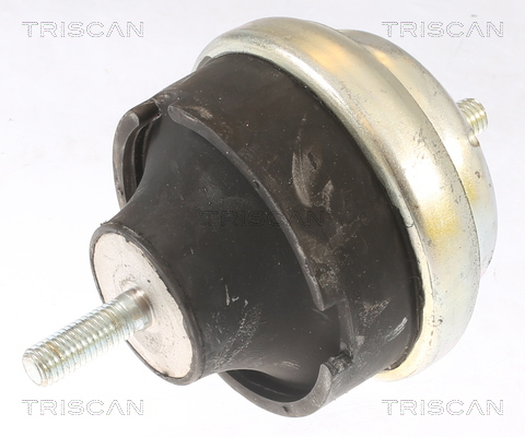 TRISCAN 8505 28107 Lagerung, Motor