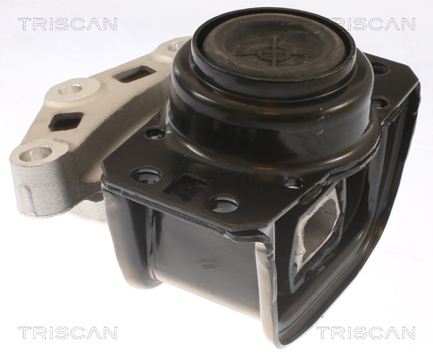TRISCAN 8505 28108 Lagerung, Motor