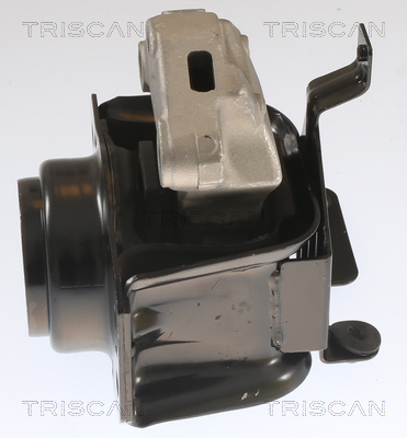 TRISCAN 8505 28109 Lagerung, Motor
