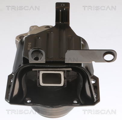 TRISCAN 8505 28109 Lagerung, Motor