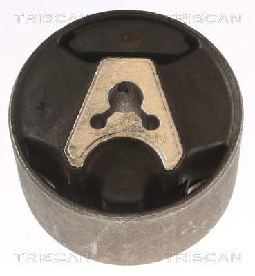 TRISCAN 8505 28110 Lagerung, Motor