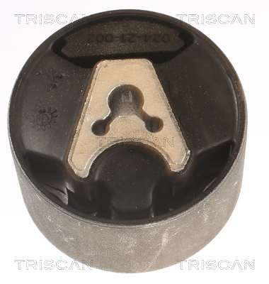 TRISCAN 8505 28110 Lagerung, Motor