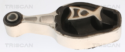 TRISCAN 8505 28111 Lagerung, Motor