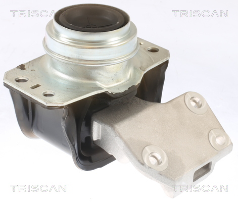 TRISCAN 8505 28112 Lagerung, Motor