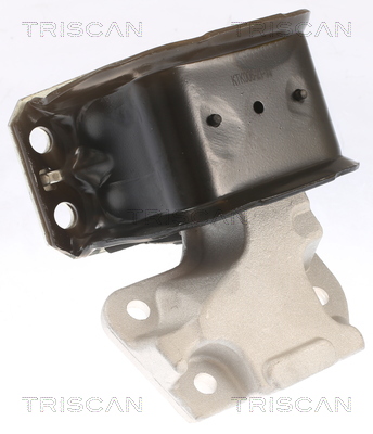 TRISCAN 8505 28112 Lagerung, Motor