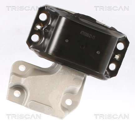 TRISCAN 8505 28112 Lagerung, Motor