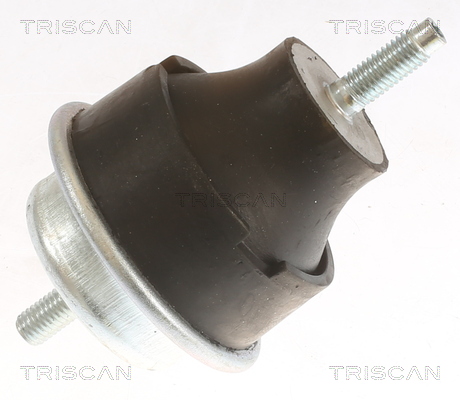 TRISCAN 8505 28113 Lagerung, Motor