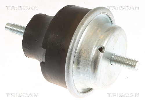 TRISCAN 8505 28113 Lagerung, Motor