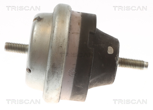 TRISCAN 8505 28114 Lagerung, Motor