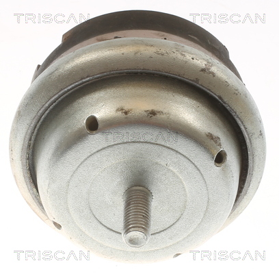 TRISCAN 8505 28114 Lagerung, Motor