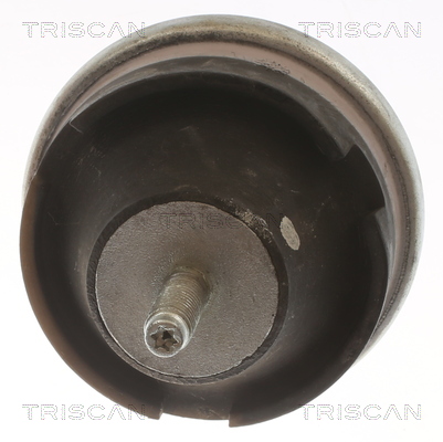 TRISCAN 8505 28114 Lagerung, Motor