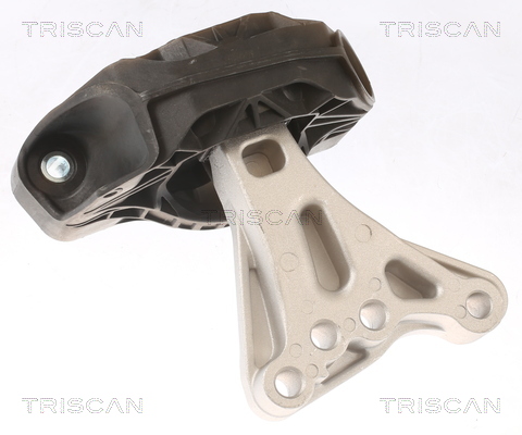 TRISCAN 8505 28115 Lagerung, Motor