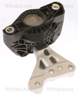 TRISCAN 8505 28115 Lagerung, Motor