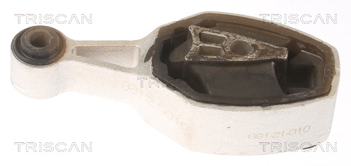 TRISCAN 8505 28116 Lagerung, Motor