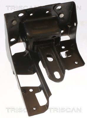 TRISCAN 8505 28117 Lagerung, Motor