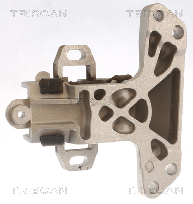 TRISCAN 8505 28118 Lagerung, Motor
