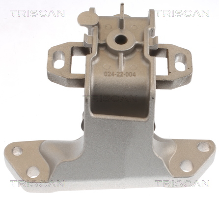 TRISCAN 8505 28118 Lagerung, Motor
