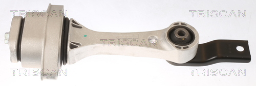 TRISCAN 8505 29100 Lagerung, Motor