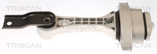 TRISCAN 8505 29100 Lagerung, Motor