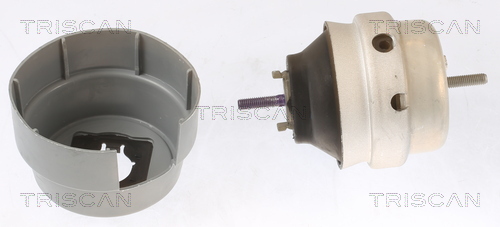 TRISCAN 8505 29101 Lagerung, Motor