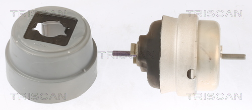 TRISCAN 8505 29101 Lagerung, Motor