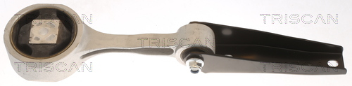 TRISCAN 8505 29102 Lagerung, Motor