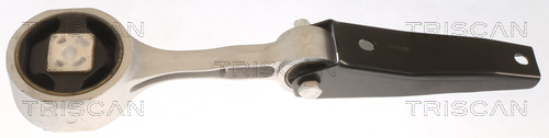 TRISCAN 8505 29102 Lagerung, Motor